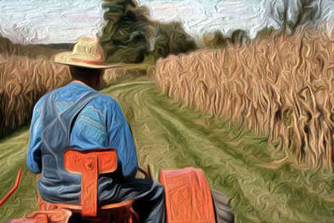 Ο αγρότης...