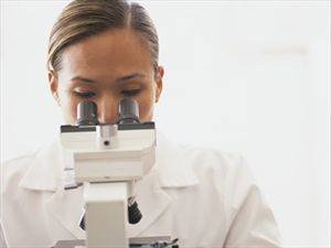 Μικροσκόπιο