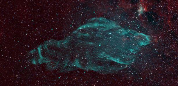 Το νεφέλωμα W50